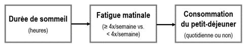 Figure2 | Analyse du rôle de la fatigue matinale dans l’association entre la durée de sommeil et la consommation du petit-déjeuner