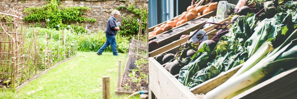 alimentation durable terre locale