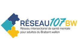Logo reseau 107