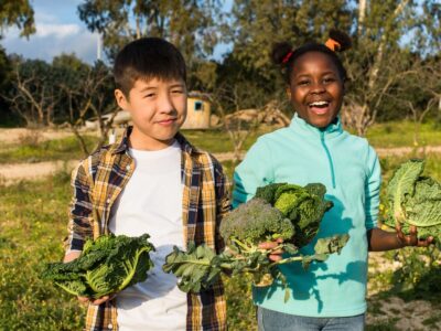alimentation durable