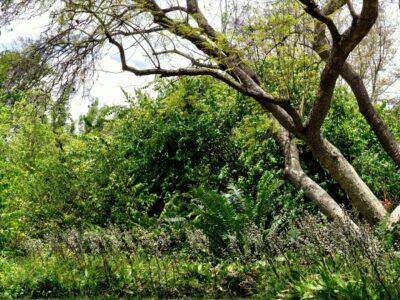 Tout pour bouger dans la nature ce week-end, découvrir et déguster